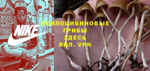мескалин Бугульма