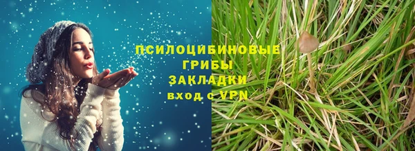 дурь Бронницы
