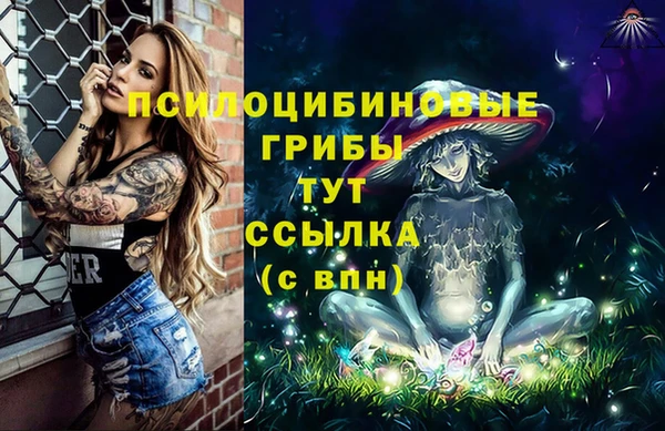герыч Бородино