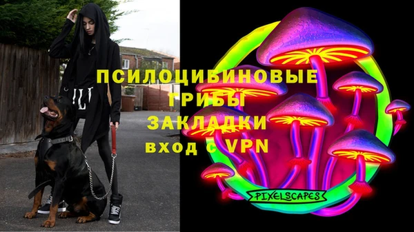 герыч Бородино